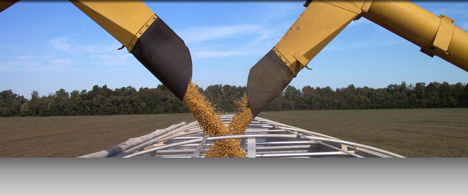 Ohio valley Ag