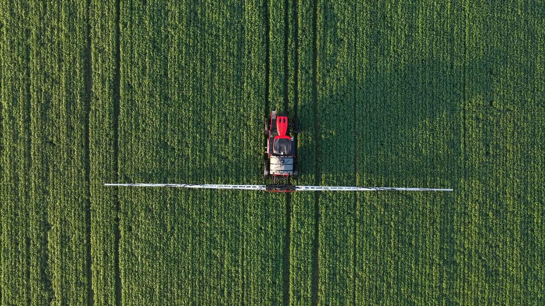 AS1260 / AS1260 XP